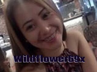 Wildflower69x