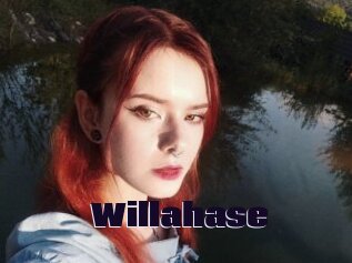 Willahase
