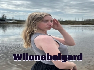 Wilonebolyard