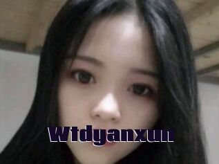 Wtdyanxun