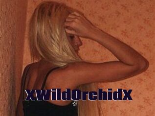 XWildOrchidX