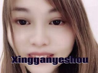 Xingganyeshou