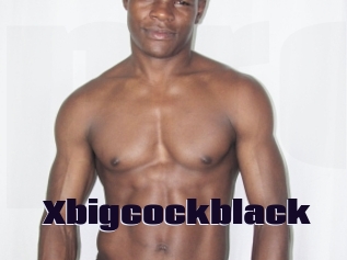 xbigcockblack Prolap Sex