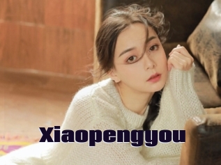 Xiaopengyou