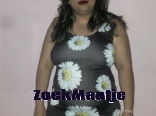 ZoekMaatje