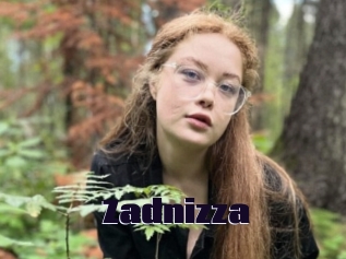 Zadnizza