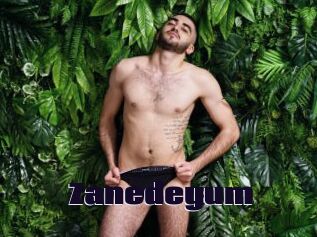 Zanedeyum