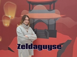 Zeldaguyse
