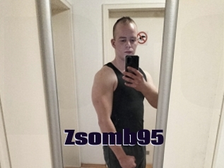 Zsomb95